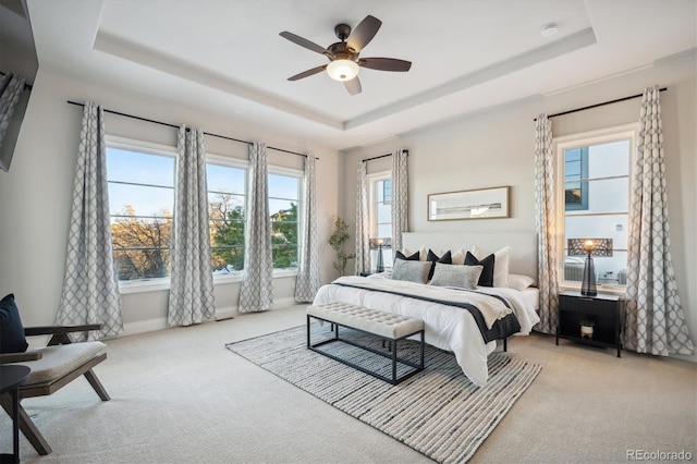 carpeted bedroom with a tray ceiling, multiple windows, and ceiling fan