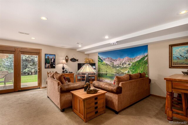 10227 Osceola Ct, Westminster, CO 80031 - photo 36