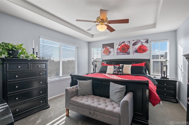 carpeted bedroom featuring ceiling fan, multiple windows, and a raised ceiling