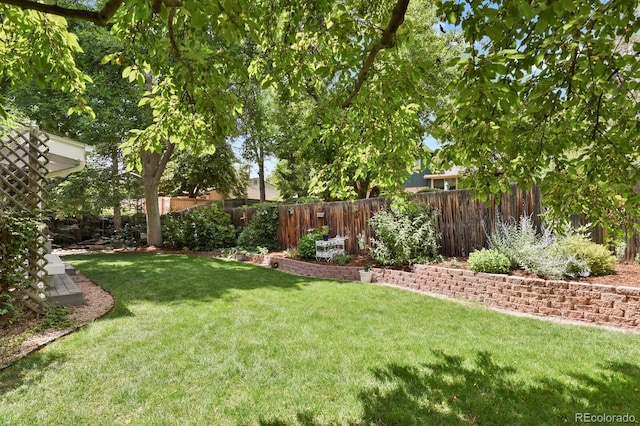 8277 Teller Ct, Arvada, CO 80003 - view of yard