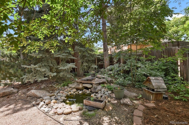 8277 Teller Ct, Arvada, CO 80003 - view of yard