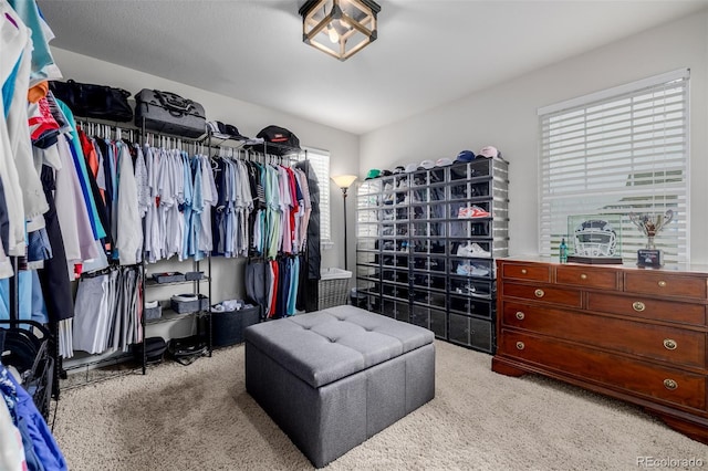8295 S Country Club Pkwy, Aurora, CO 80016 - photo 29