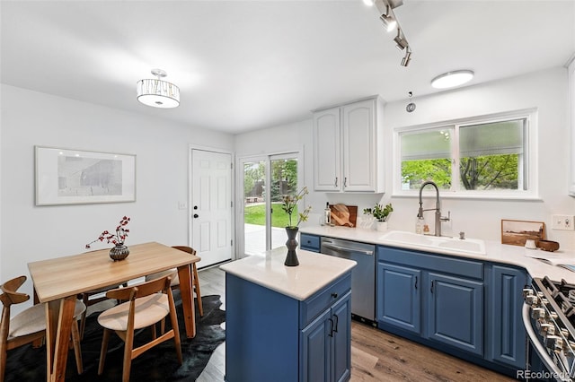 9315 Field Ln, Westminster, CO 80021 - kitchen featuring blue cabinetry, stainless steel appliances, a sink, and light countertops
