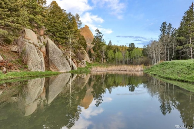 60 N County Highway 67, Sedalia, CO 80135 - water view with a forest