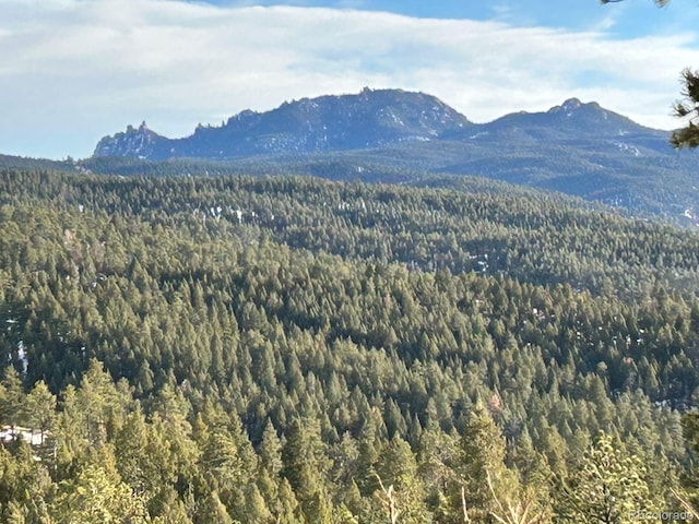 60 N County Highway 67, Sedalia, CO 80135 - view of mountain backdrop with a forest