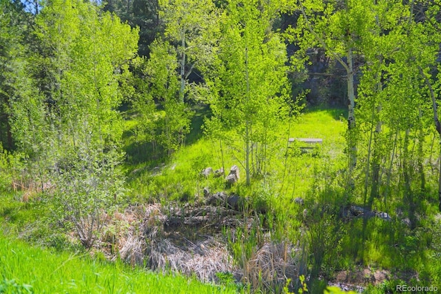 60 N County Highway 67, Sedalia, CO 80135 - view of nature