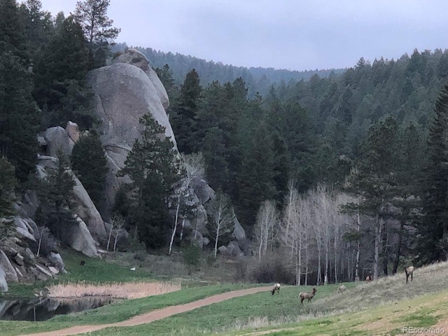 60 N County Highway 67, Sedalia, CO 80135 - view of mountain background with a forest