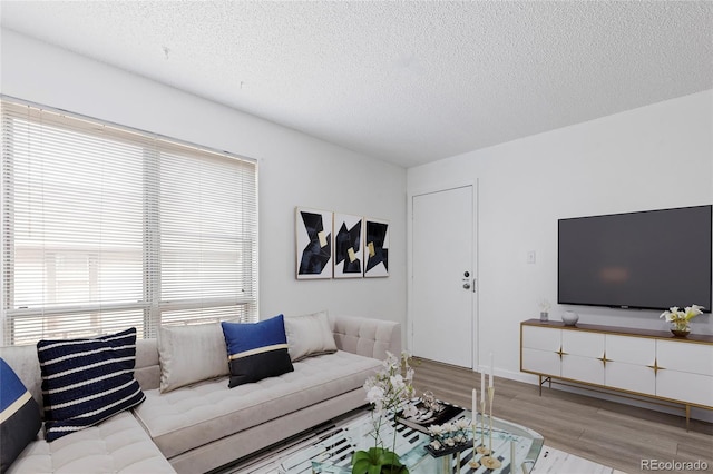 living room with a textured ceiling and light wood finished floors