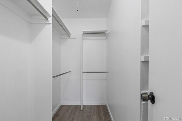 walk in closet with wood finished floors