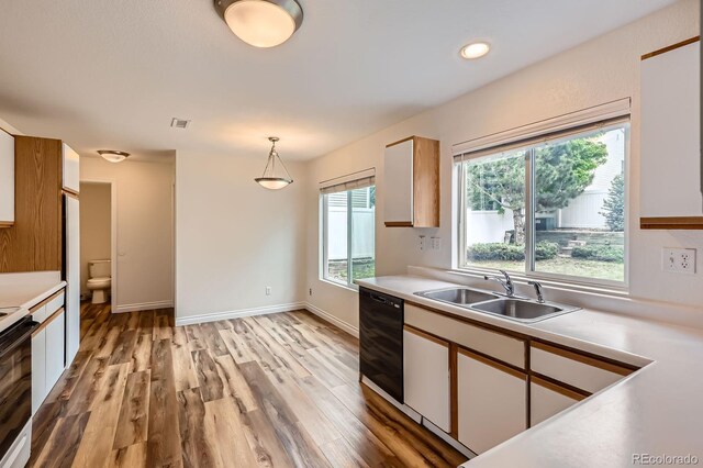 5120 Perth St, Denver, CO 80249 - kitchen with black dishwasher, light countertops, a sink, light wood-style floors, and pendant lighting