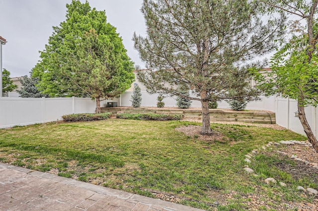 5120 Perth St, Denver, CO 80249 - view of yard