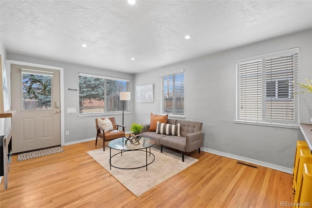 living area featuring a healthy amount of sunlight, light wood-style floors, baseboards, and a textured ceiling