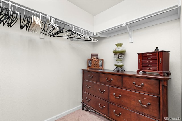 spacious closet featuring carpet floors