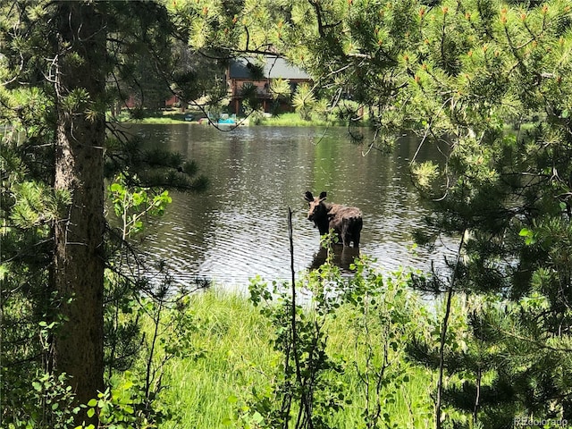 80 Gcr 4935, Grand Lake, CO 80447 - photo 10