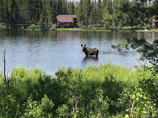 80 Gcr 4935, Grand Lake, CO 80447 - photo 11