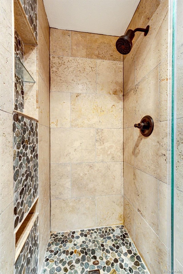 4645 W Temple Pl, Denver, CO 80236 - full bathroom featuring tiled shower and stone finish floors