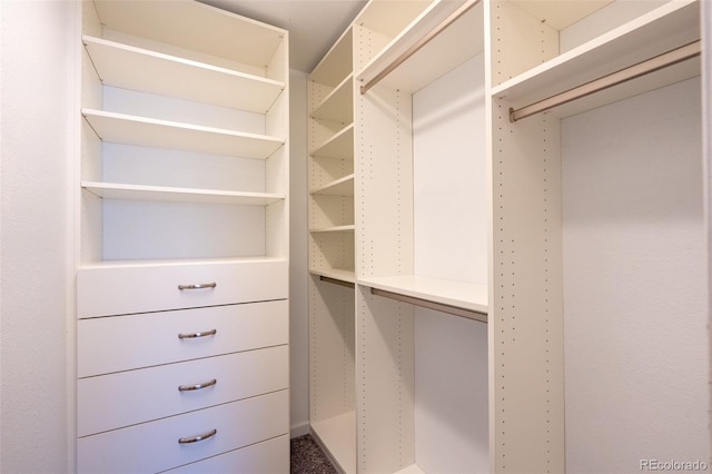 4943 S Carson St Unit 207, Aurora, CO 80015 - view of spacious closet