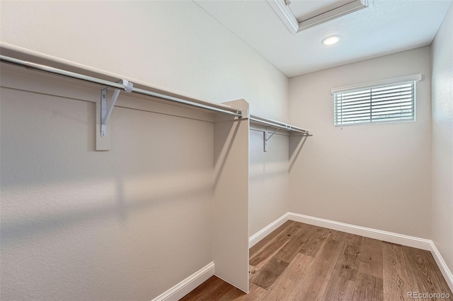 spacious closet with hardwood / wood-style floors