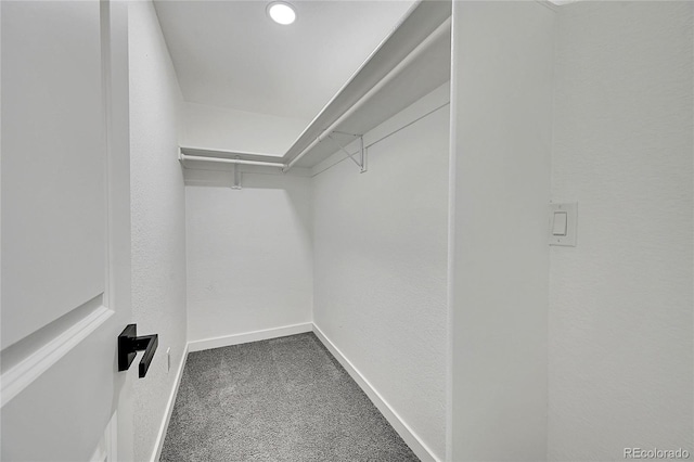 1173 Xenon St, Golden, CO 80401 - walk in closet featuring dark colored carpet