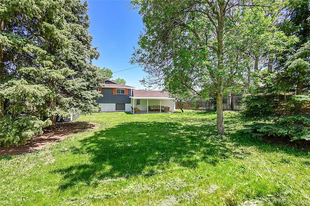 1173 Xenon St, Golden, CO 80401 - view of yard