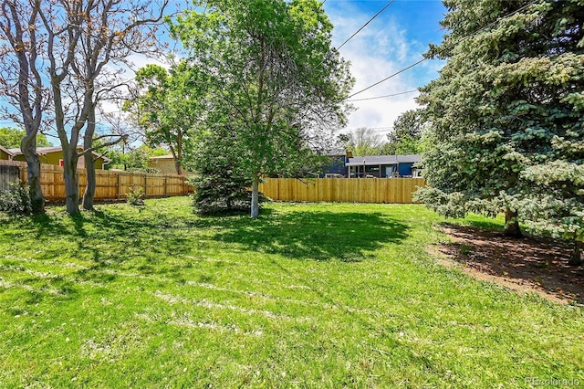 1173 Xenon St, Golden, CO 80401 - view of yard