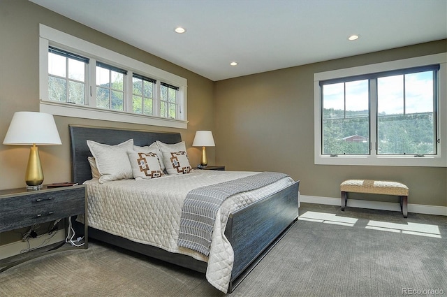 117 River Run Ct, Buena Vista, CO 81211 - bedroom with recessed lighting, carpet flooring, and baseboards