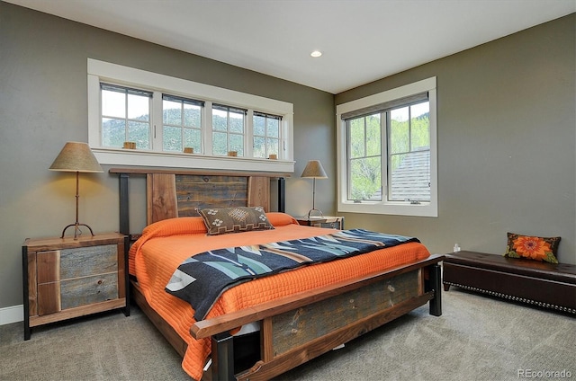117 River Run Ct, Buena Vista, CO 81211 - bedroom with carpet floors and recessed lighting