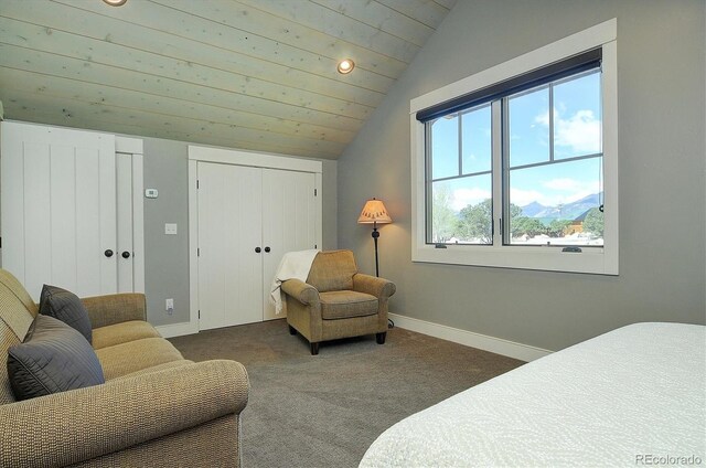 117 River Run Ct, Buena Vista, CO 81211 - bedroom with lofted ceiling, baseboards, and carpet flooring