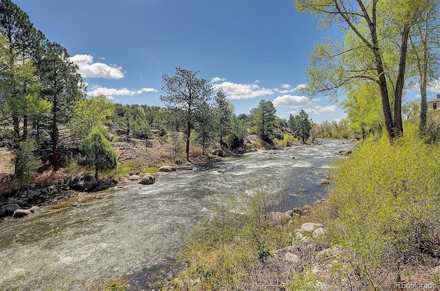 117 River Run Ct, Buena Vista, CO 81211 - view of road
