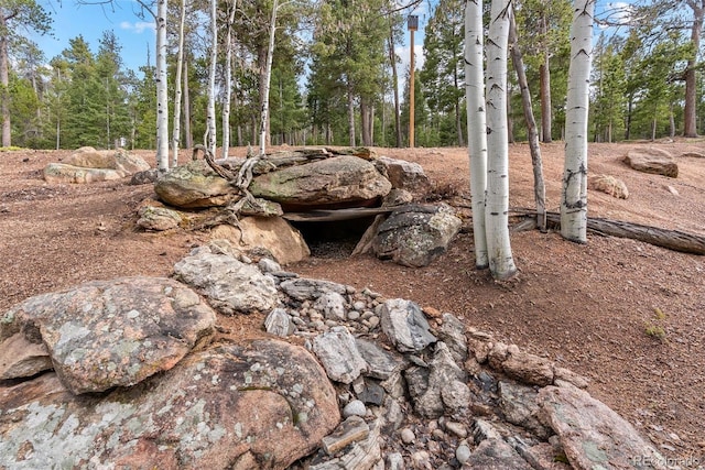 11406 Conifer Ridge Dr, Conifer, CO 80433 - view of local wilderness