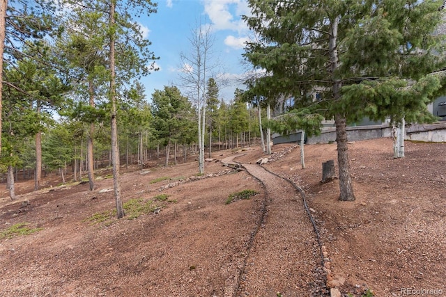 11406 Conifer Ridge Dr, Conifer, CO 80433 - view of yard