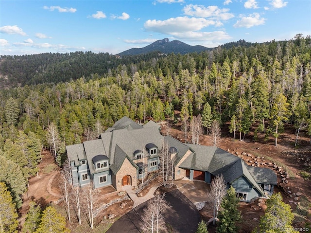 11406 Conifer Ridge Dr, Conifer, CO 80433 - view of subject property with a heavily wooded area and a mountainous background