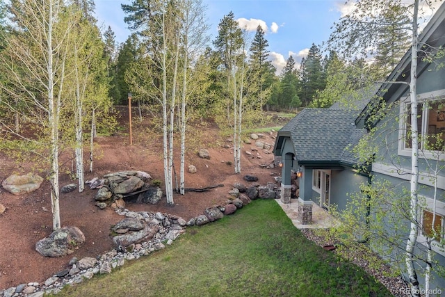 11406 Conifer Ridge Dr, Conifer, CO 80433 - view of green lawn