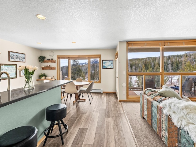 interior space with a baseboard radiator, light hardwood / wood-style flooring, and a textured ceiling