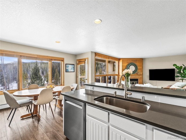 kitchen featuring sink, hardwood / wood-style floors, a fireplace, white cabinets, and stainless steel dishwasher