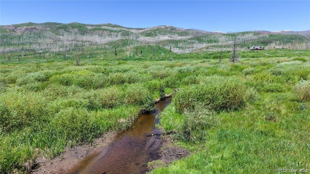 5440 County Road 41, Granby, CO 80446 - photo 3