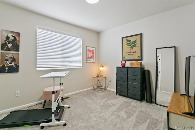 3618 Boot Spur Ct, Colorado Springs, CO 80922 - workout area featuring carpet flooring and baseboards
