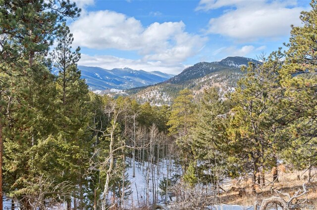 135 Linda Trl, Bailey, CO 80421 - photo 1