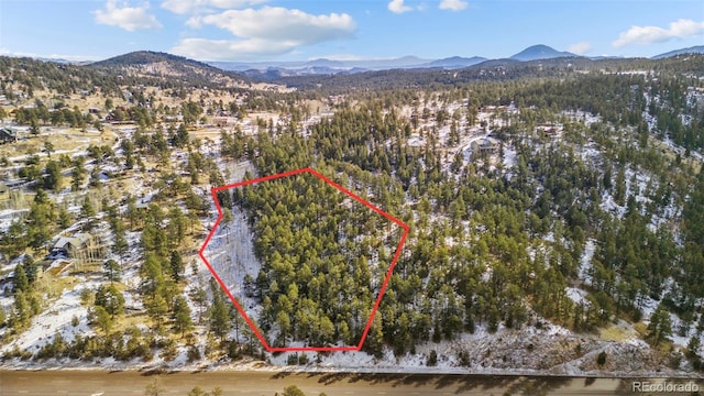 135 Linda Trl, Bailey, CO 80421 - photo 2