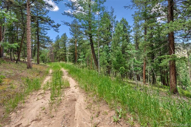 135 Linda Trl, Bailey, CO 80421 - photo 4