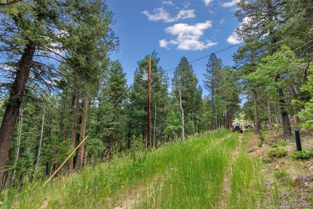 135 Linda Trl, Bailey, CO 80421 - photo 5