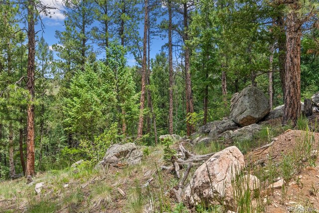 135 Linda Trl, Bailey, CO 80421 - photo 6