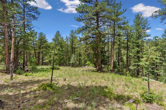 135 Linda Trl, Bailey, CO 80421 - photo 7