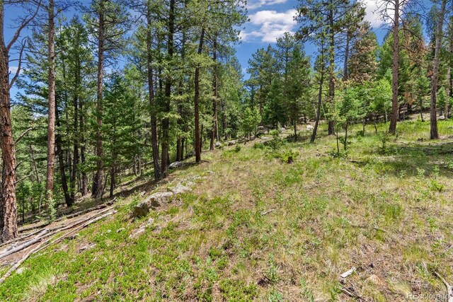 135 Linda Trl, Bailey, CO 80421 - photo 8