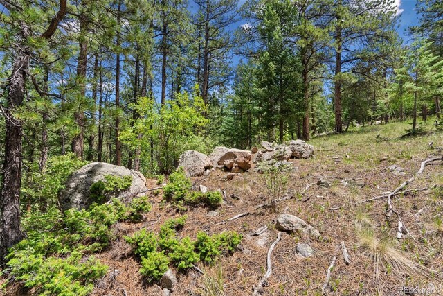 135 Linda Trl, Bailey, CO 80421 - photo 9