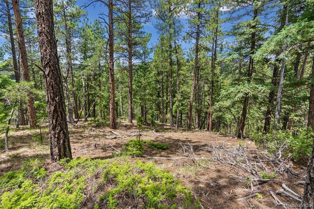 135 Linda Trl, Bailey, CO 80421 - photo 10