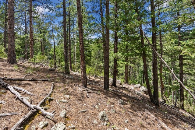 135 Linda Trl, Bailey, CO 80421 - photo 11