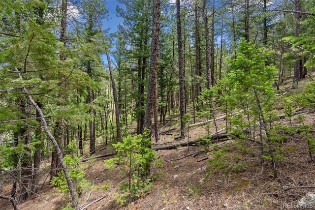 135 Linda Trl, Bailey, CO 80421 - photo 12