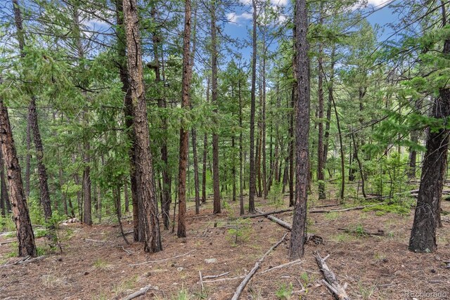 135 Linda Trl, Bailey, CO 80421 - photo 13