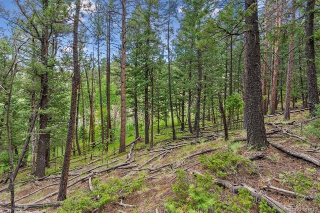 135 Linda Trl, Bailey, CO 80421 - photo 14